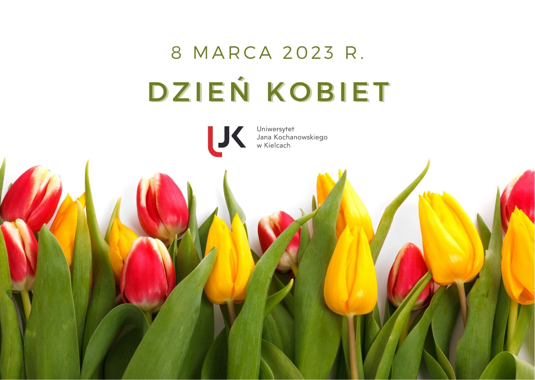 zolte tulipany z napisem dzien kobiet